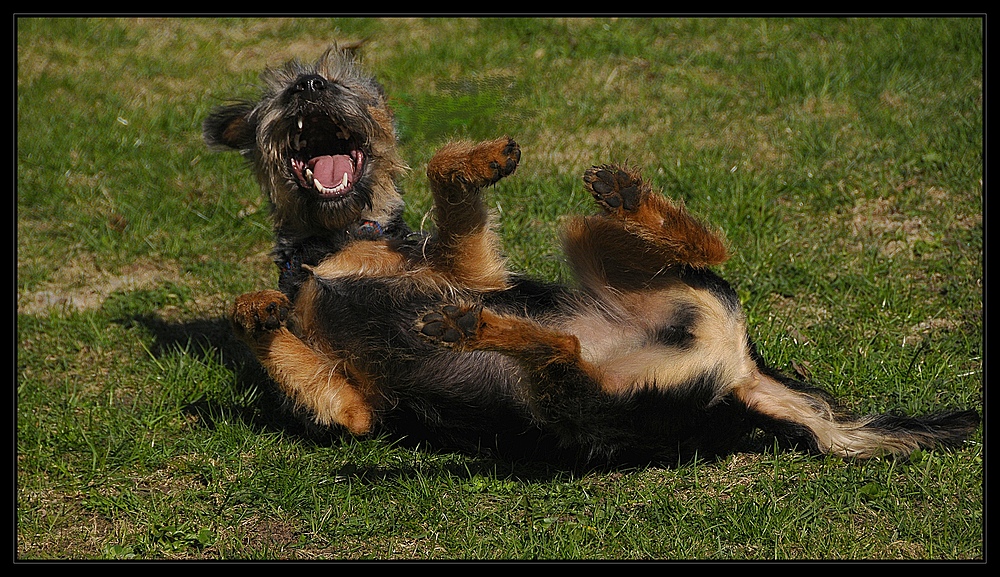 Ich lach mich weg....