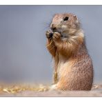 Ich lass' es mir dann mal schmecken...