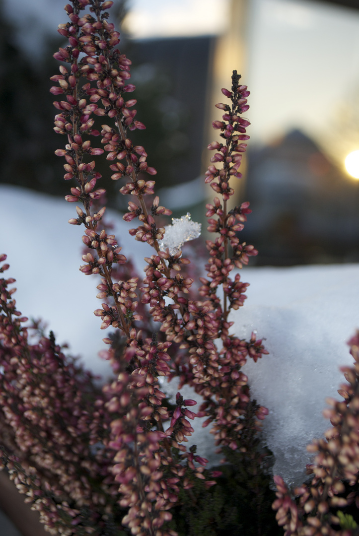 Ich lass mich nicht runterkriegen nicht mal im Winter!