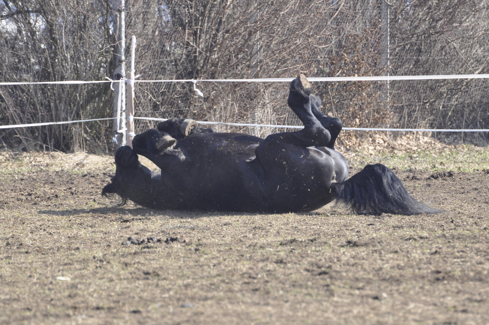 Ich laß mir jetzt die Sonne auf den Bauch scheinen.....