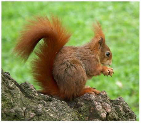 Ich lass´mich nicht stören!