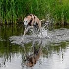 Ich laufe über das Wasser,das glaubt mir keiner !!1