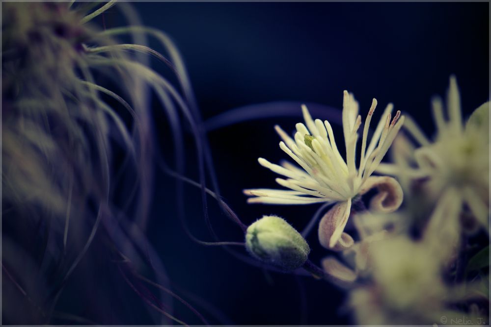 Ich lausche der Stille Foto & Bild | emotionen, sehnsucht , fotokunst ...