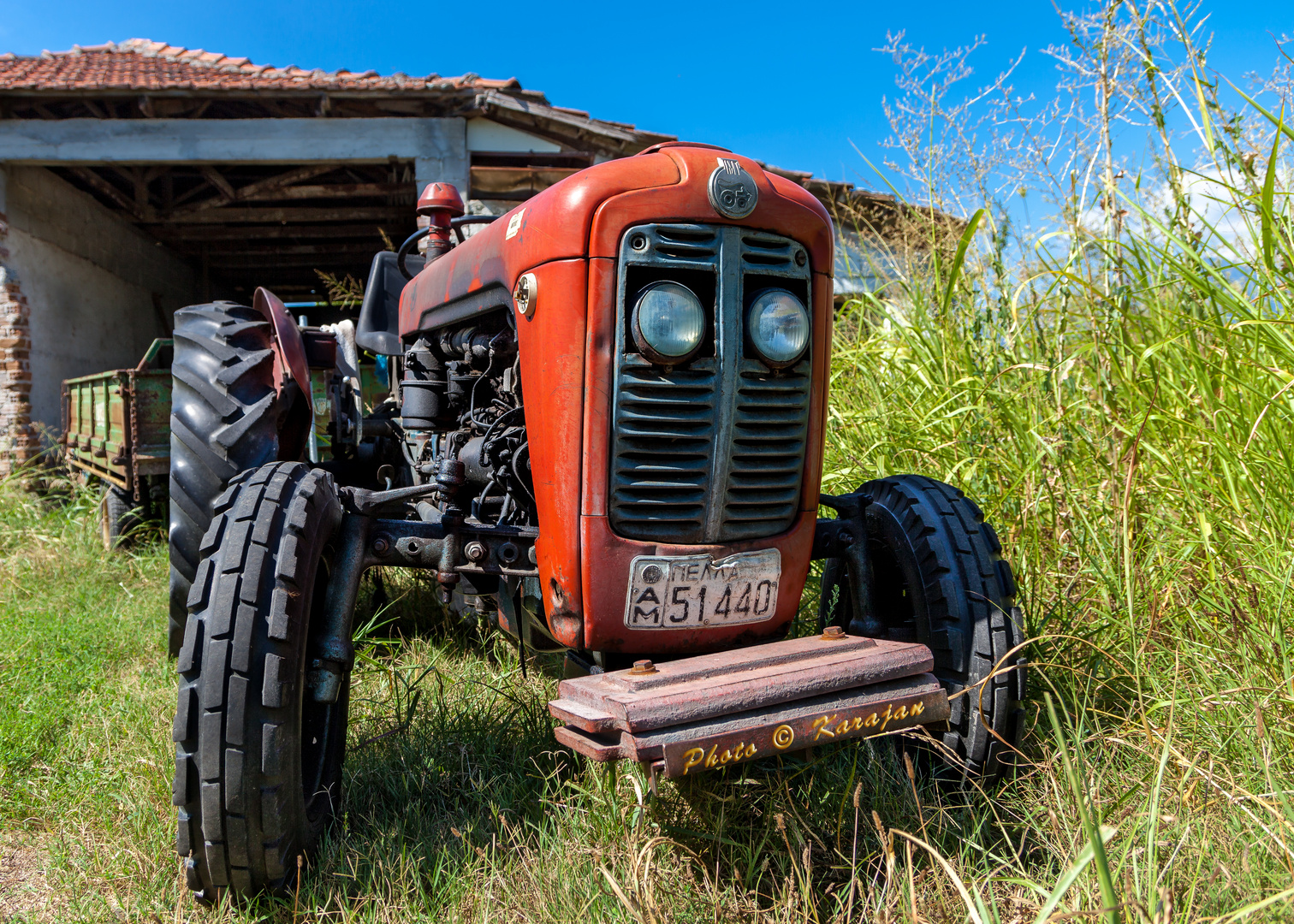Ich Lebe Noch Foto Bild Alt Griechenland Landwirtschaft Bilder Auf Fotocommunity