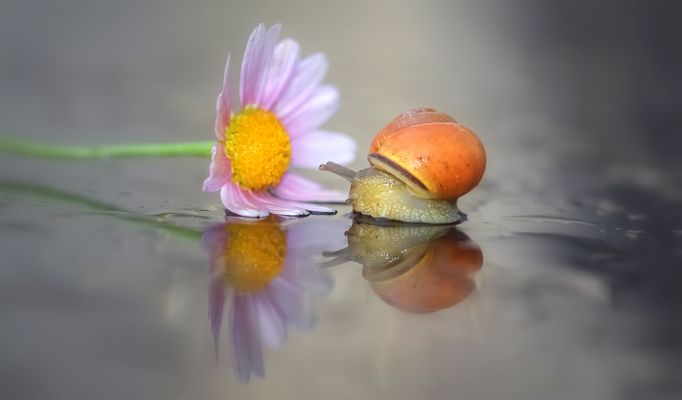 Ich liebe Blümchen ;-)