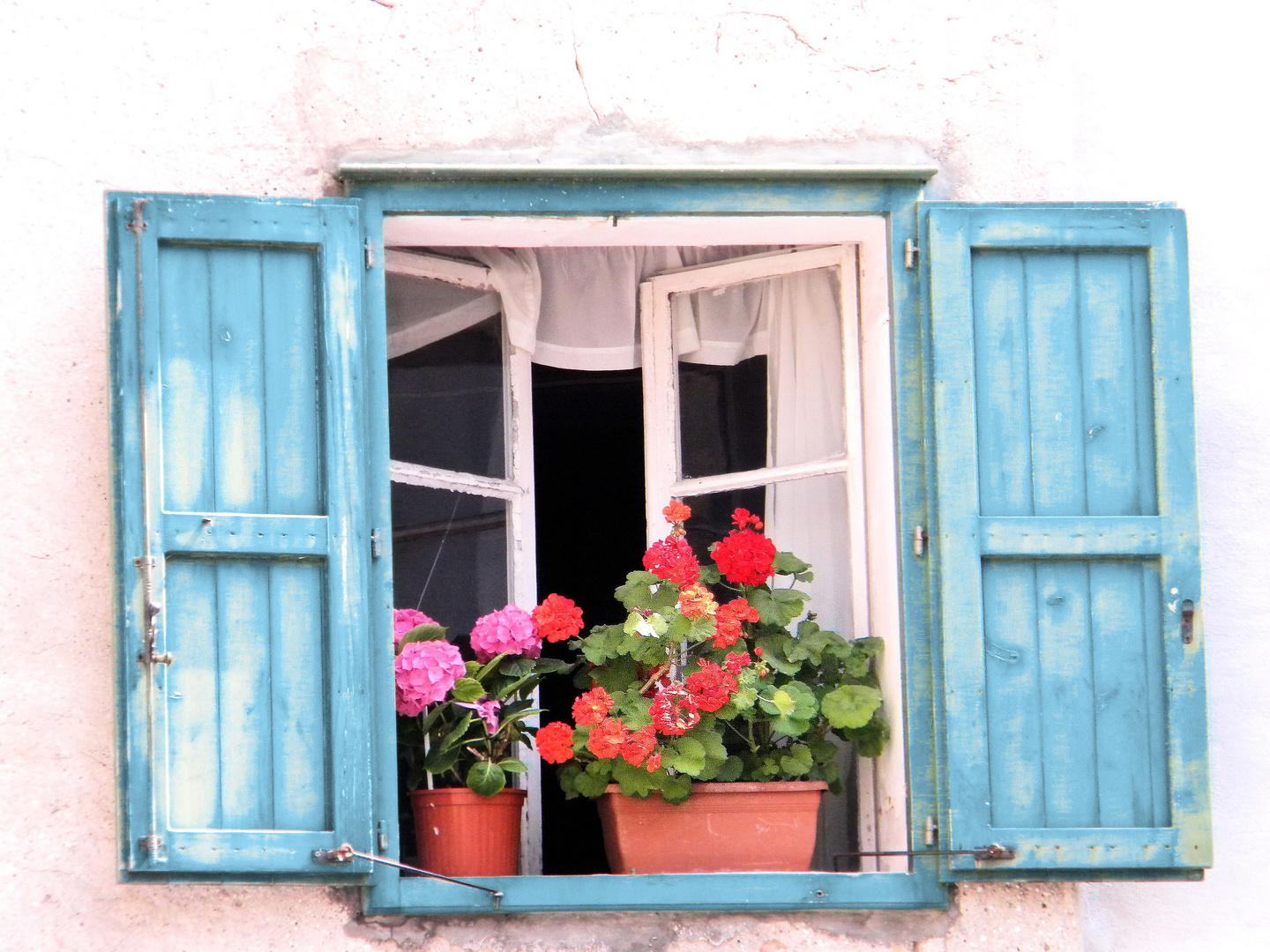 ich liebe bunte fensterläden .[: