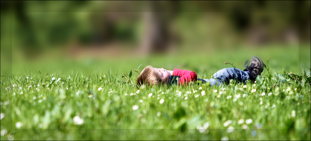 ich liebe den Frühling!!!