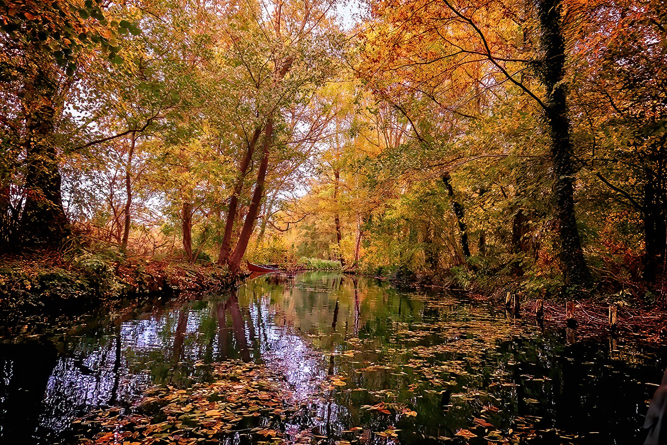 Ich liebe den Herbst!