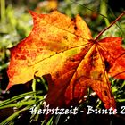 Ich liebe den Herbst....