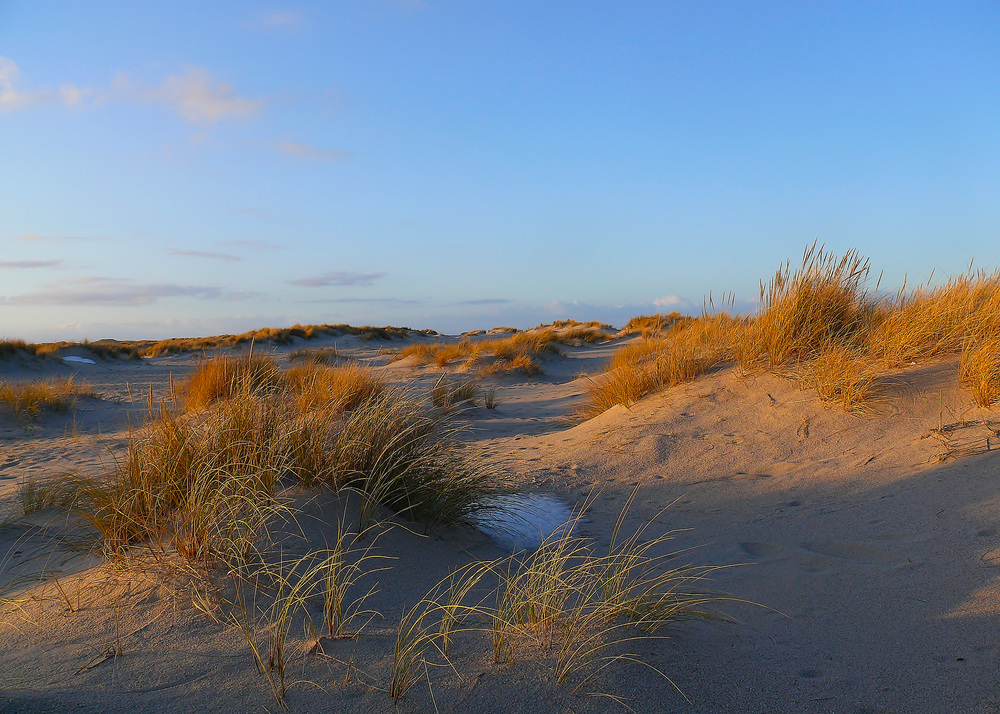 Ich liebe den Wind auch wen er Sturm ist…