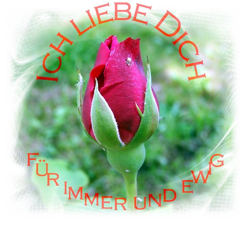 Ich liebe Dich