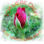 Ich liebe Dich