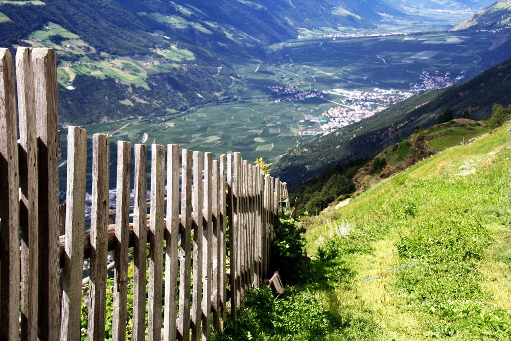 Ich liebe diese Aussicht ins Vinschgau