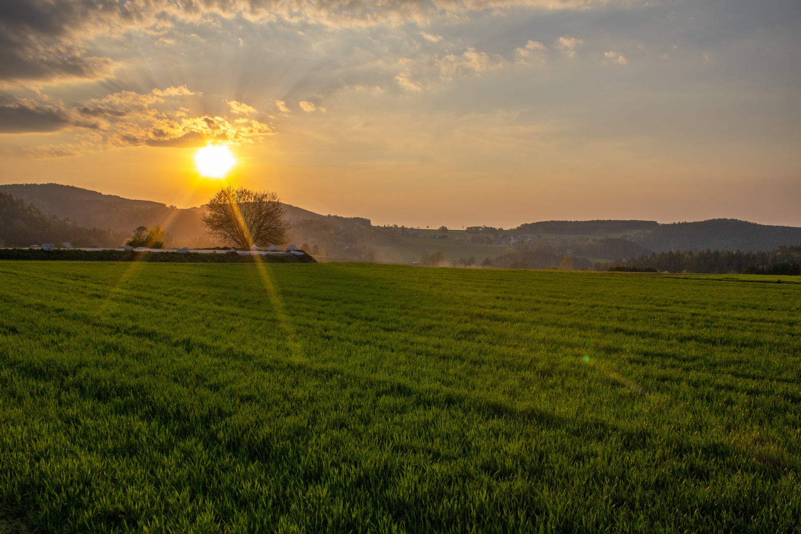 Ich liebe mein Erzgebirge