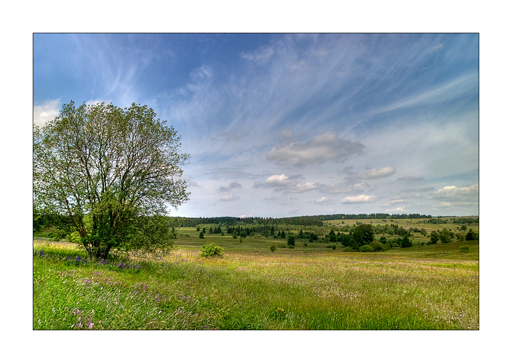 ich liebe sie: die RHÖN (1)