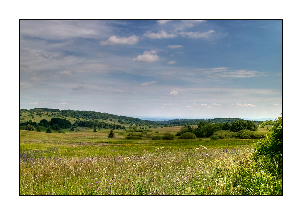 ich liebe sie: die RHÖN (2)