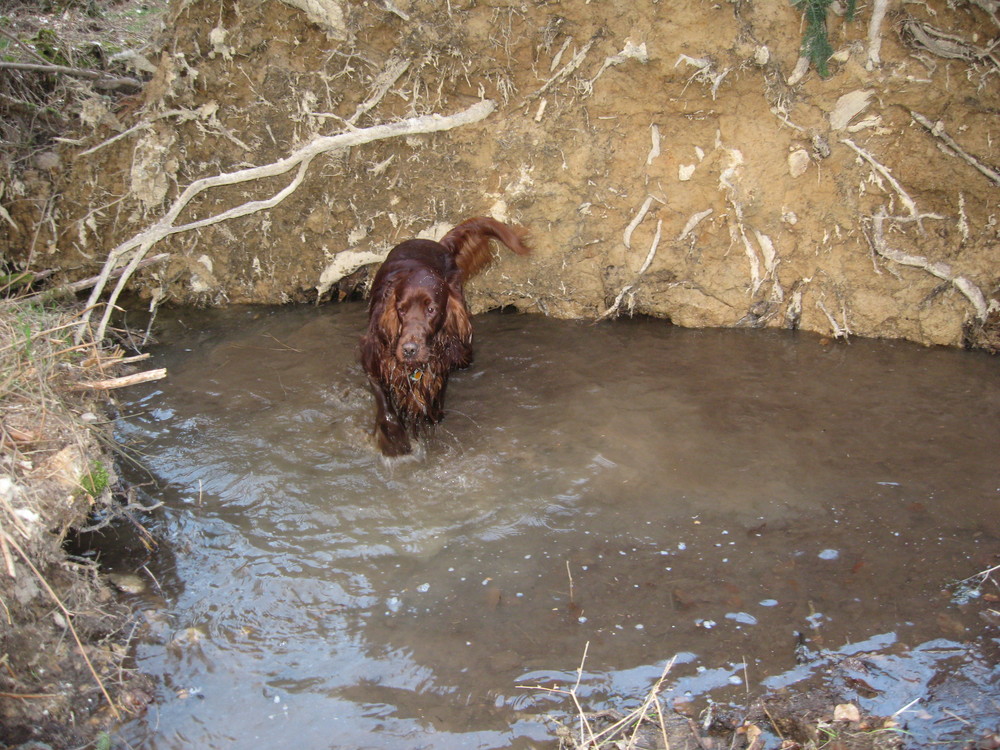 Ich liebe Wasser !!