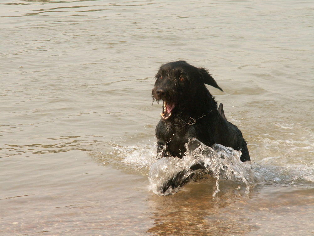 ich liebe Wasser