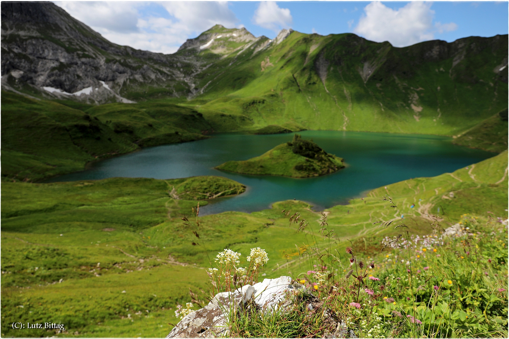 Ich liege im Gras und träume ...