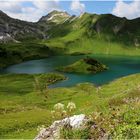 Ich liege im Gras und träume ...