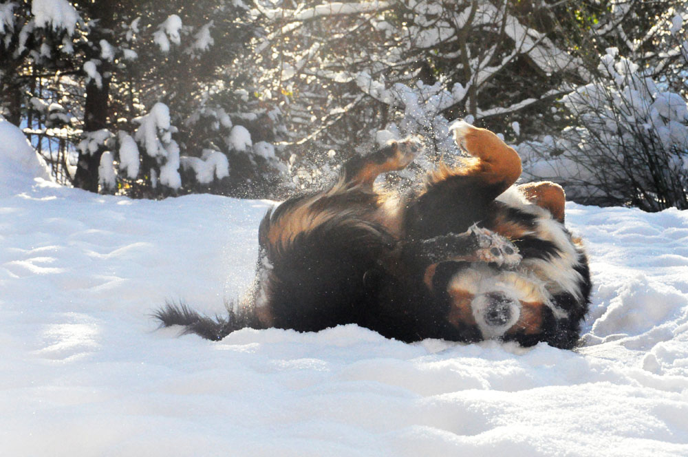 "Ich liiiebe Schneeee!"