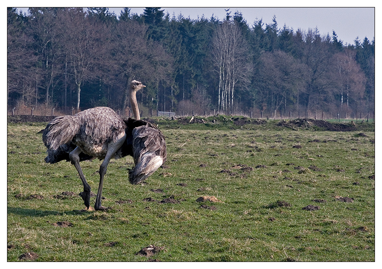 ..ich mach hier bald n` Abflug;-)