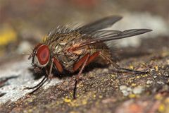 Ich mach jetzt die Fliege - gute Nacht (-: !