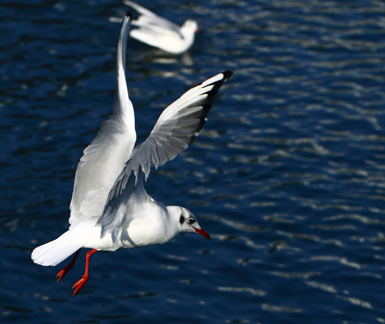 Ich mach ma en Abflug