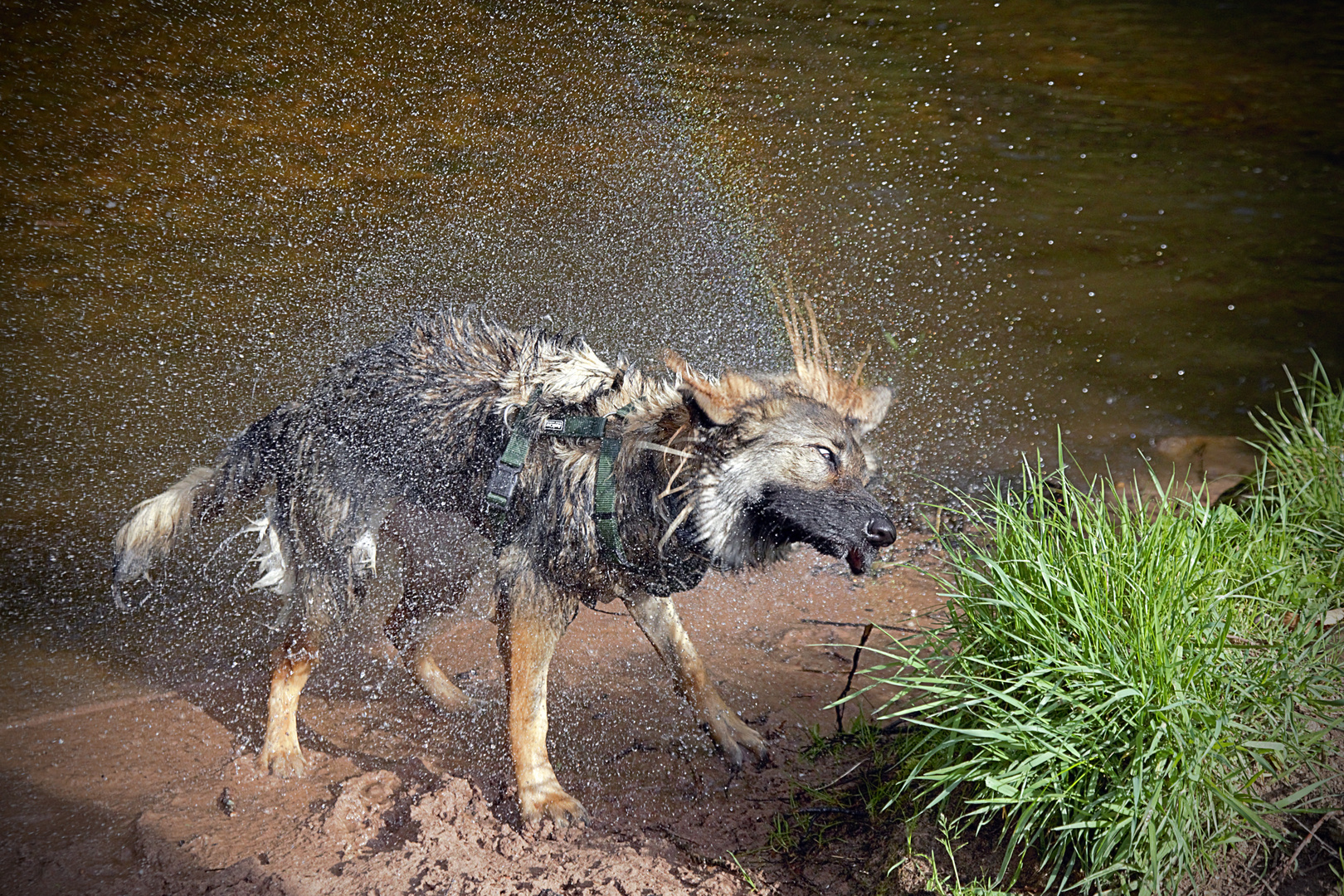 Ich mach mal ein Regenbogen 