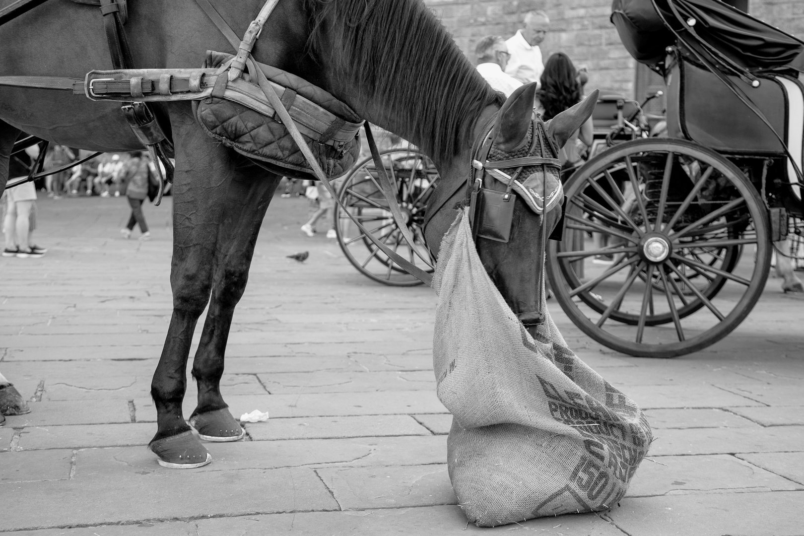Ich mach mal eine Pause Foto &amp; Bild | pause, motive, kreuz&amp;quer Bilder ...