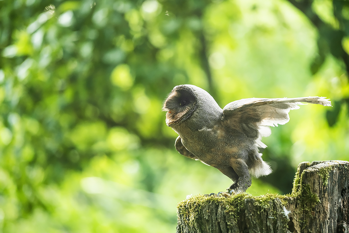 Ich mach mal n Abflug!