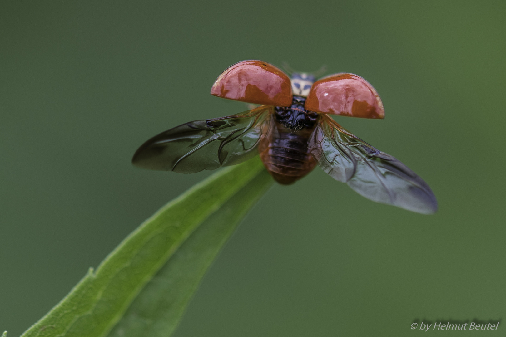 Ich mach mal`n Abflug