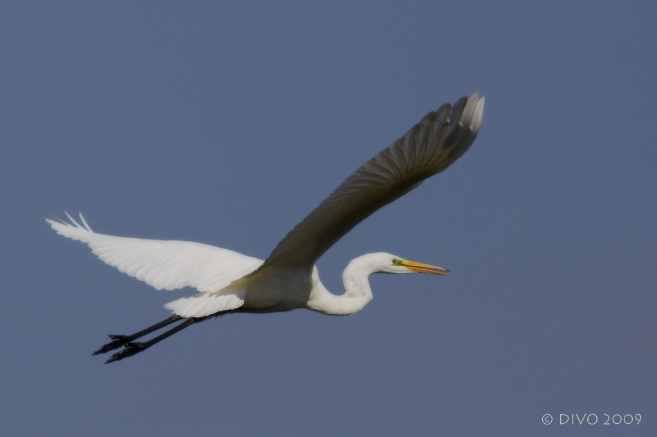 Ich mach `nen Abflug