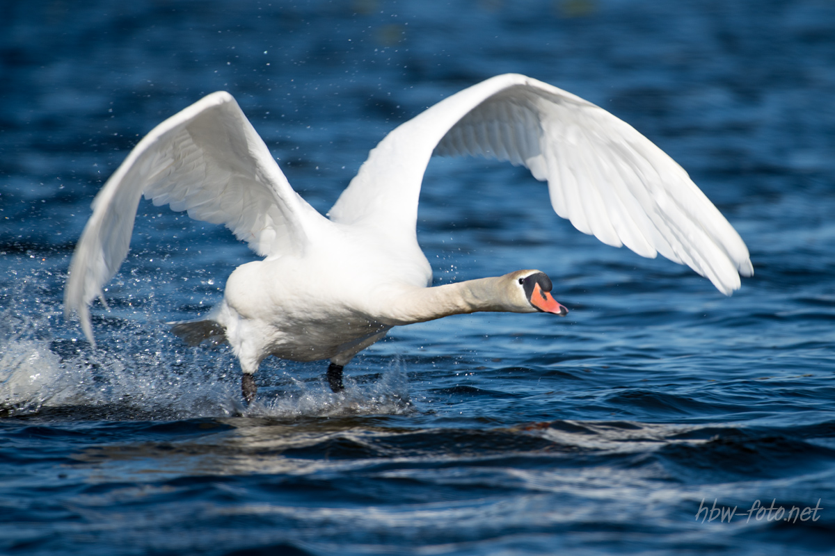 Ich mach nen Abflug