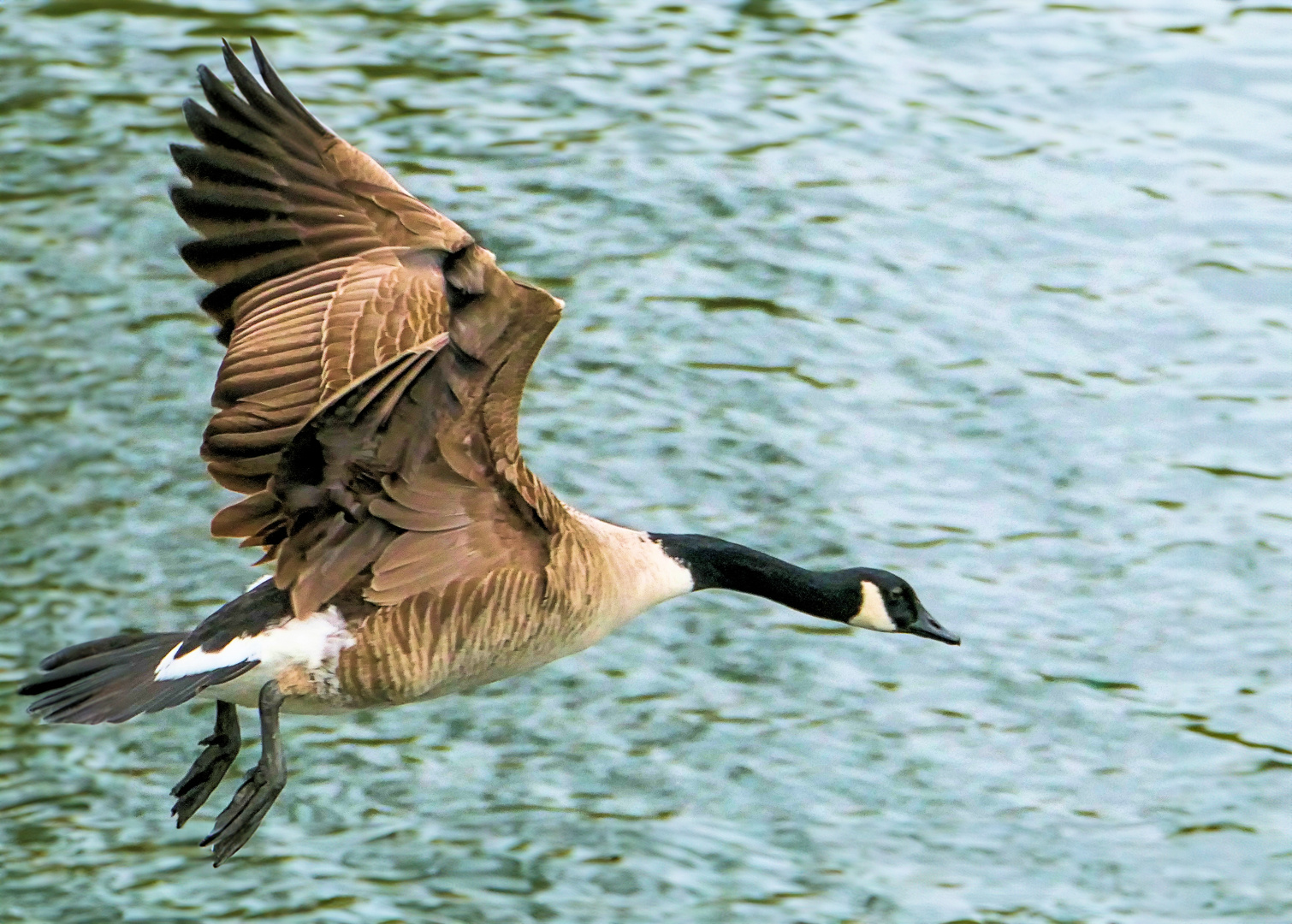 Ich mache den Abflug