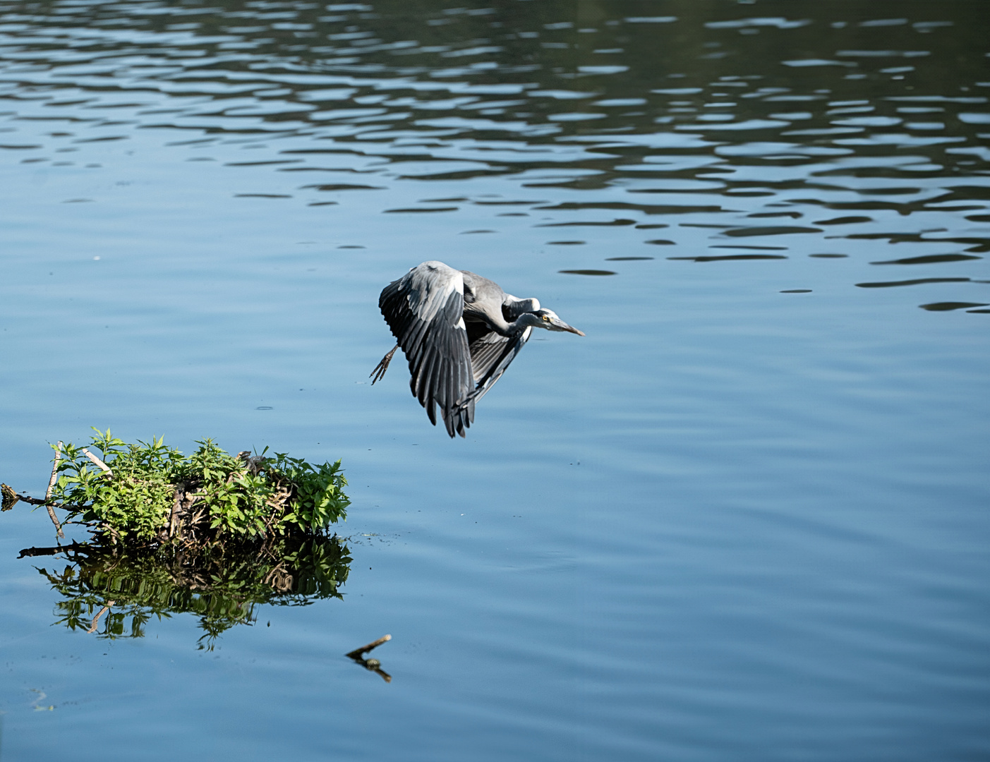 Ich mache den Abflug