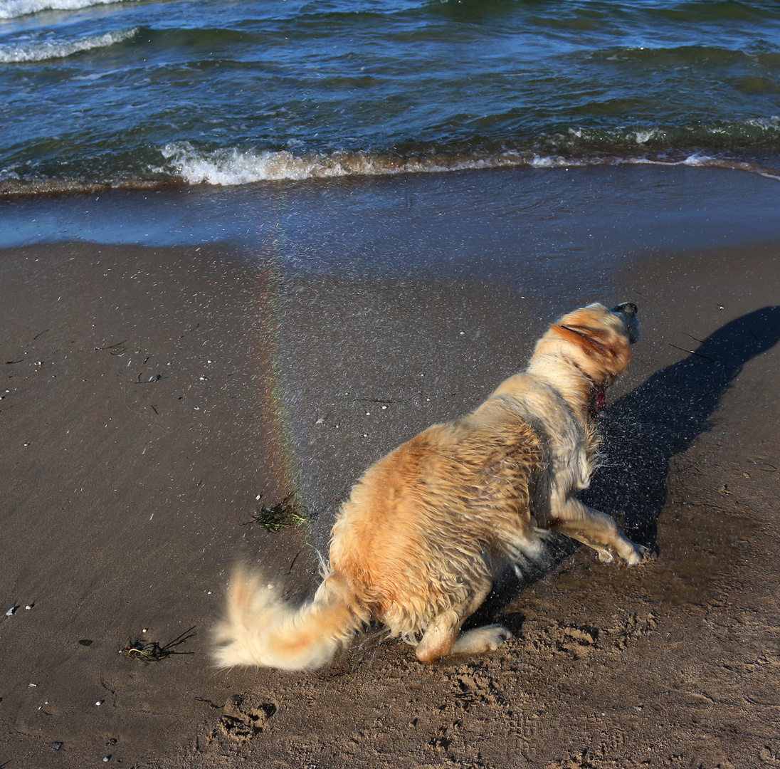 Ich mache mir meine Regenbögen selber!