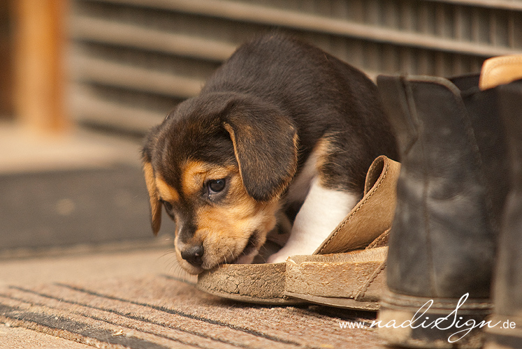 Ich mag deine Schuhe ...