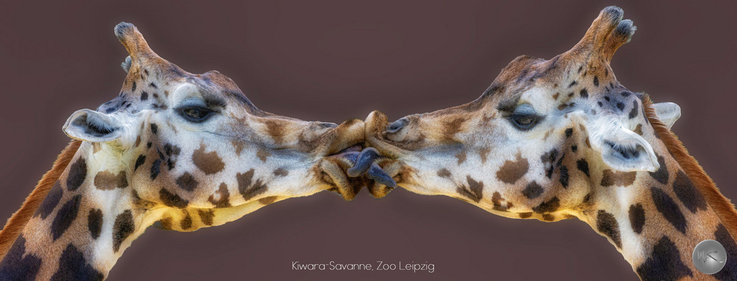 Ich mag Dich_natürlich