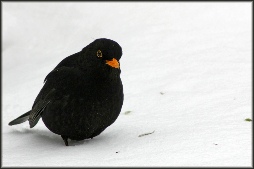 Ich mag diesen Blick!