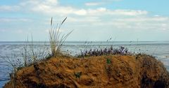 Ich mag diesen Blick über das steile Morsumkliff auf das Wattenmeer..