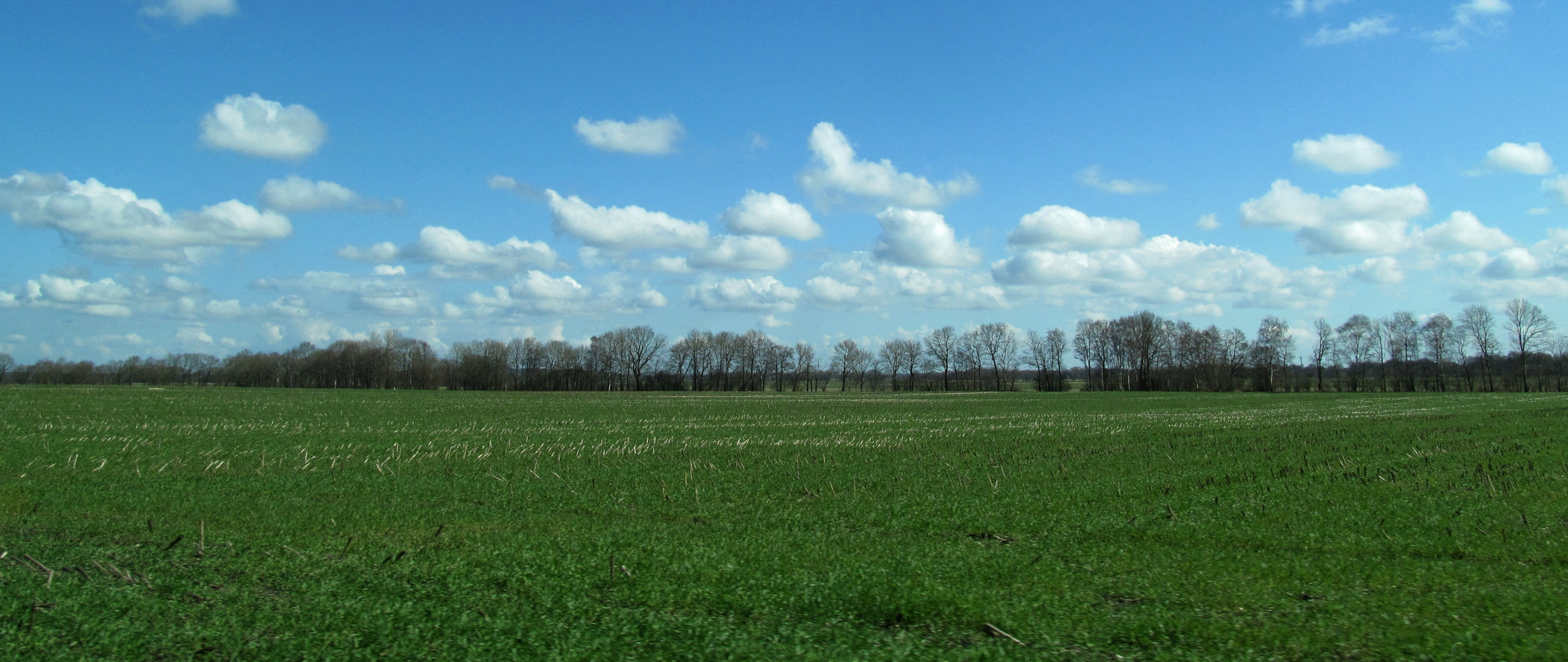 ich mag es wie die Wolken immer wieder neue Formen annehmen !