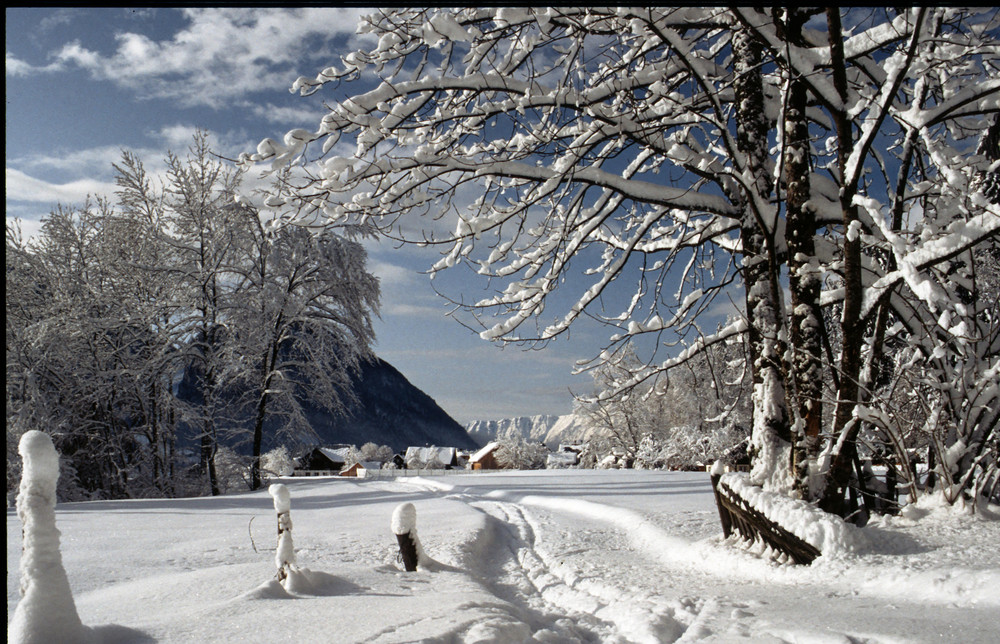 Ich mag ja den Winter