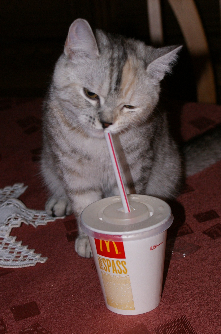 Ich mag McDonald`s