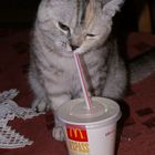 Ich mag McDonald`s