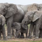 ich mag sie einfach!