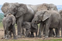 ich mag sie einfach!