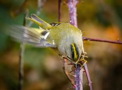 "ICH MAG UNSERE KLEINSTEN SEHR"