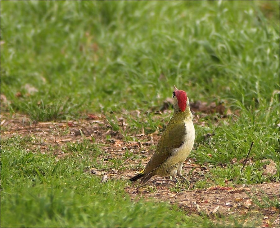 Ich möchte heute nicht fotografiert werden ...