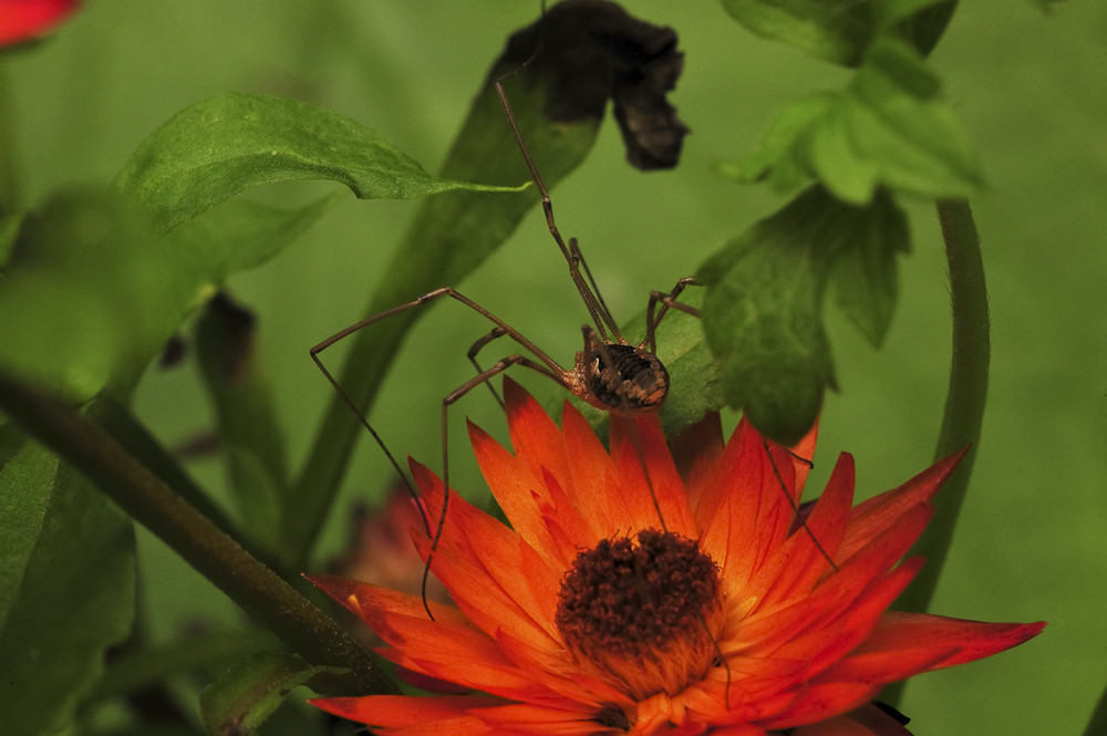 Ich möchte nicht fotografiert werden